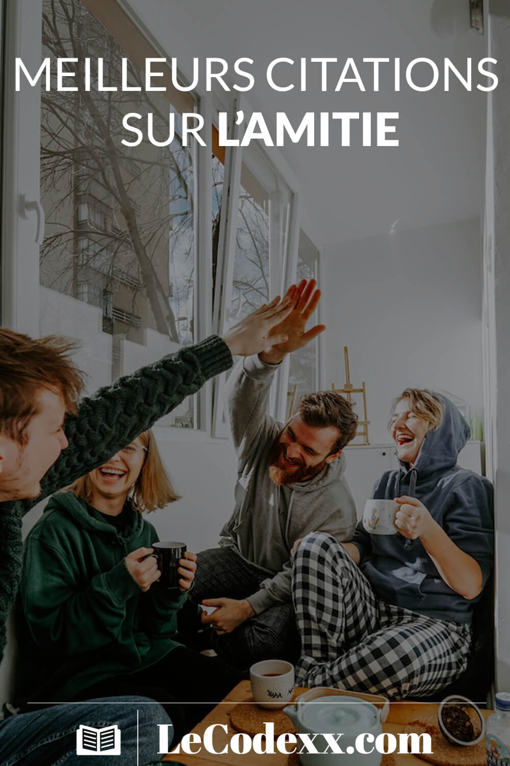 Meilleurs Citations Sur L'Amitié écrit en blanc logo du site lecodexx.com un groupe d'ami qui passent un bon moment