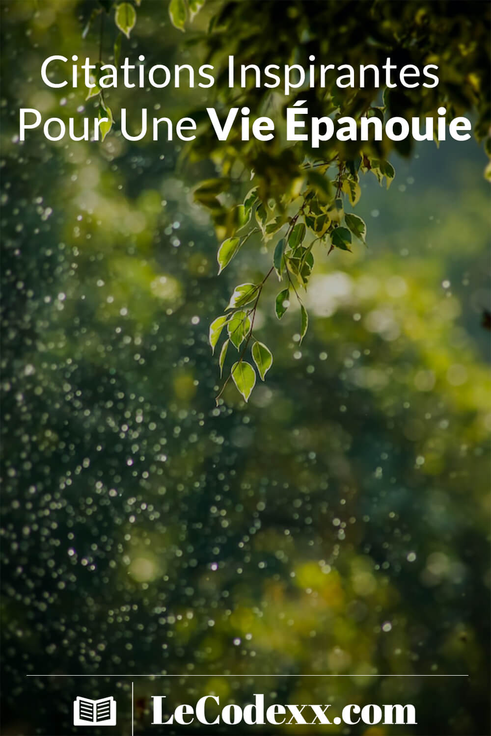 Citations Inspirantes pour une vie épanouie écrit en blanc sur un arriére plan d'une photo de la nature verte lecodexx.com