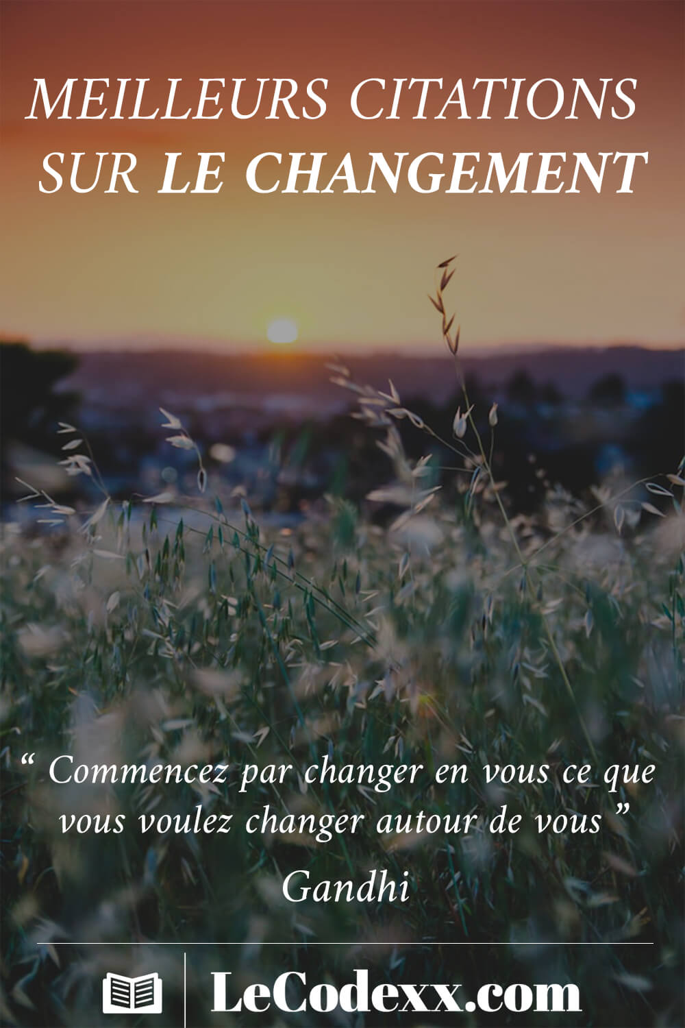 meilleurs citations sur le changement “ Commencez par changer en vous ce que vous voulez changer autour de vous ” - Ghandi lecodexx.com écrit en blanc sur un arriére plan d'une photo de fleurs dans la nature